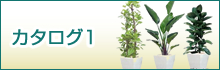 カタログ１