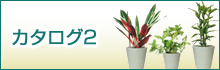 カタログ２