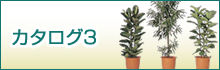 カタログ３