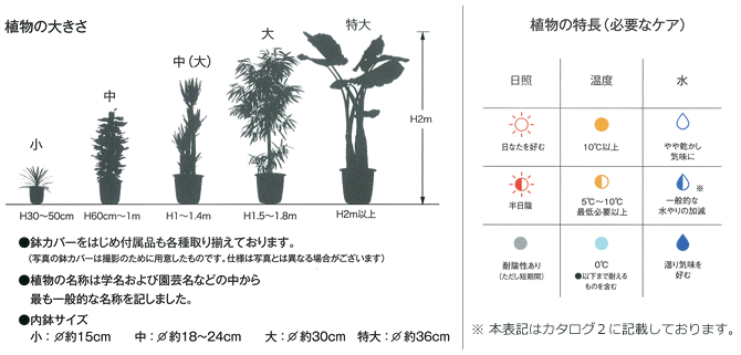 植物の大きさ、植物の特徴