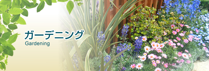 ガーデニング