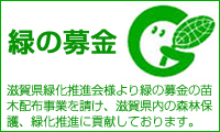 緑の募金