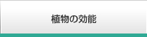 植物の効能