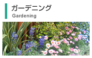ガーデニング