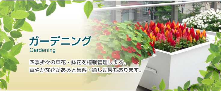 レンタルグリーン