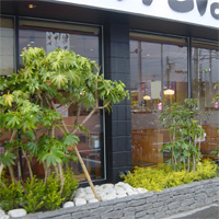 店舗用ガーデニング