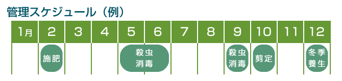管理スケジュール（例）