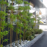 店舗用ガーデニング