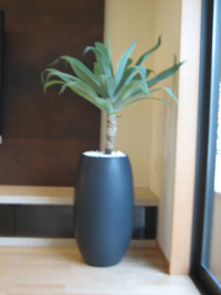 デザイナーズタイプ