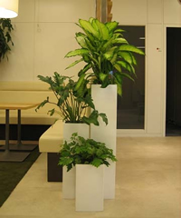 デザイナーズタイプ