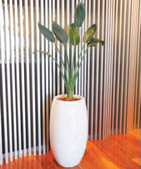 デザイナーズタイプ