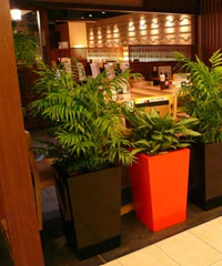 デザイナーズタイプ