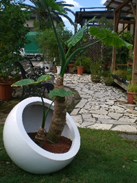 デザイナーズタイプ