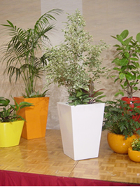 デザイナーズタイプ