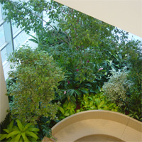 ショップ・アミューズメント