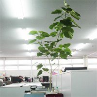 オフィス・事務所