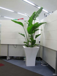 オフィス・事務所