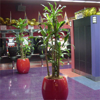 ショップ・アミューズメント