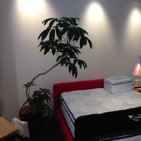 ショップ・アミューズメント