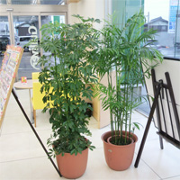 ショップ・アミューズメント