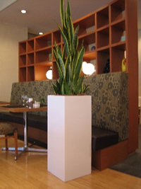 ショップ・アミューズメント