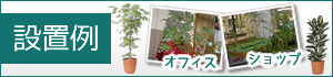 設置例