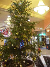 クリスマスツリー