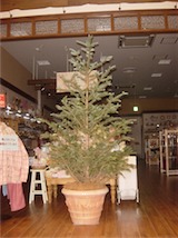 クリスマスツリー